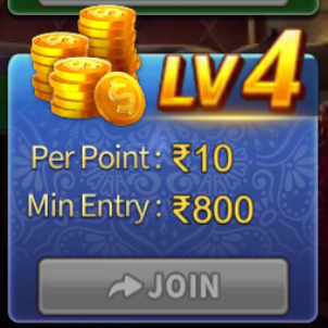 Level 4 - Expert